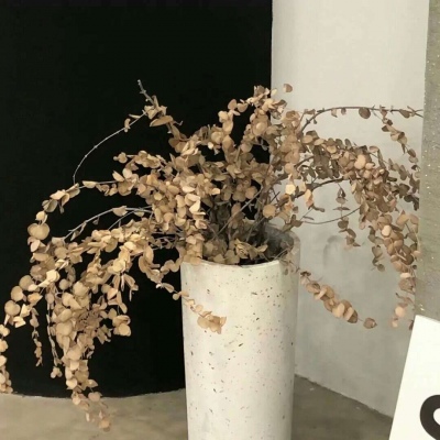 Furry插画光影灵感FurryQQ群